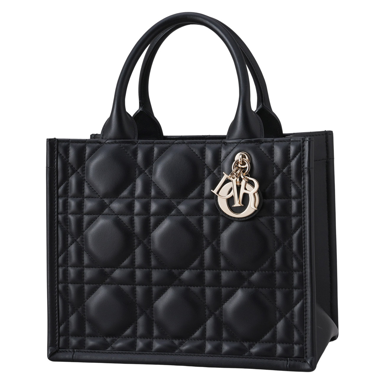 CHRISTIAN DIOR(USED)크리스찬 디올 북토트 스몰